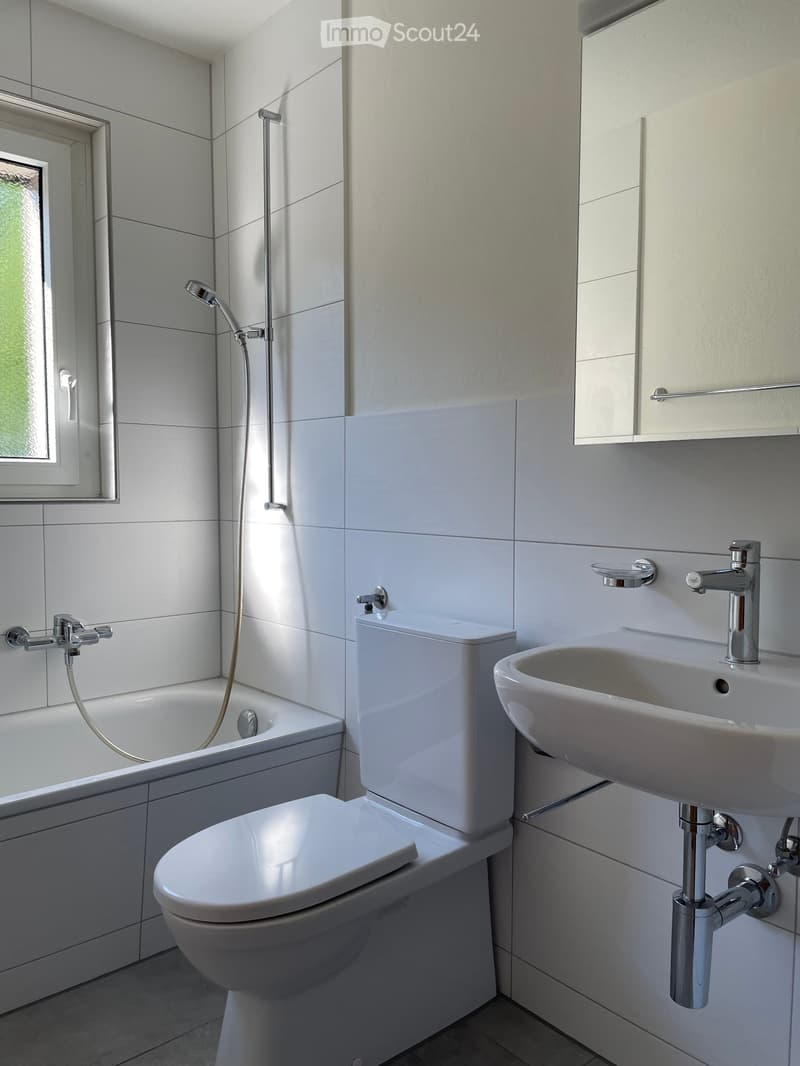 * Appartamento 4.5 locali a Egerkingen * (2)