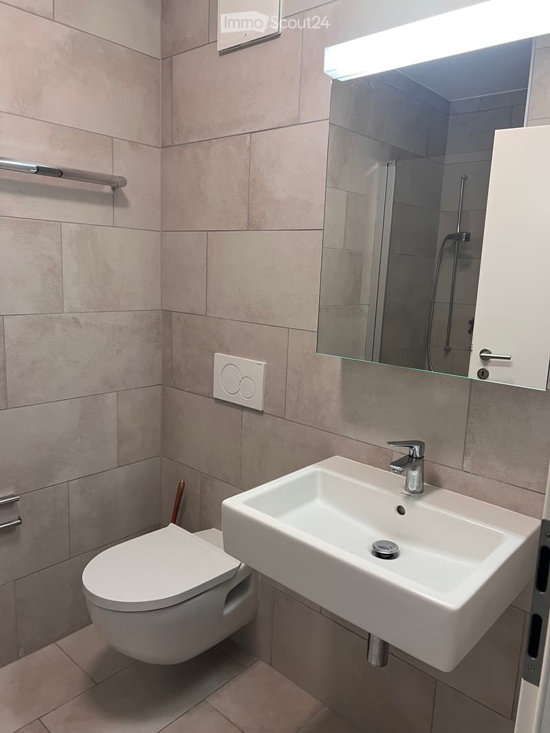 Ich suche einen Nachmieter für eine 2,5-Zimmer-Wohnung in Bellinzona (5)