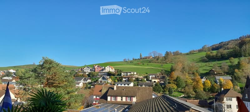 Joli appartement 2,5 pièces (4)