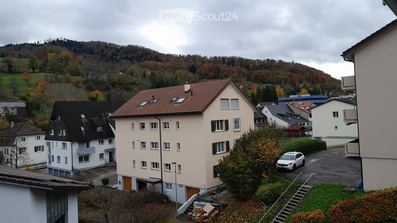 Joli appartement 2,5 pièces (3)