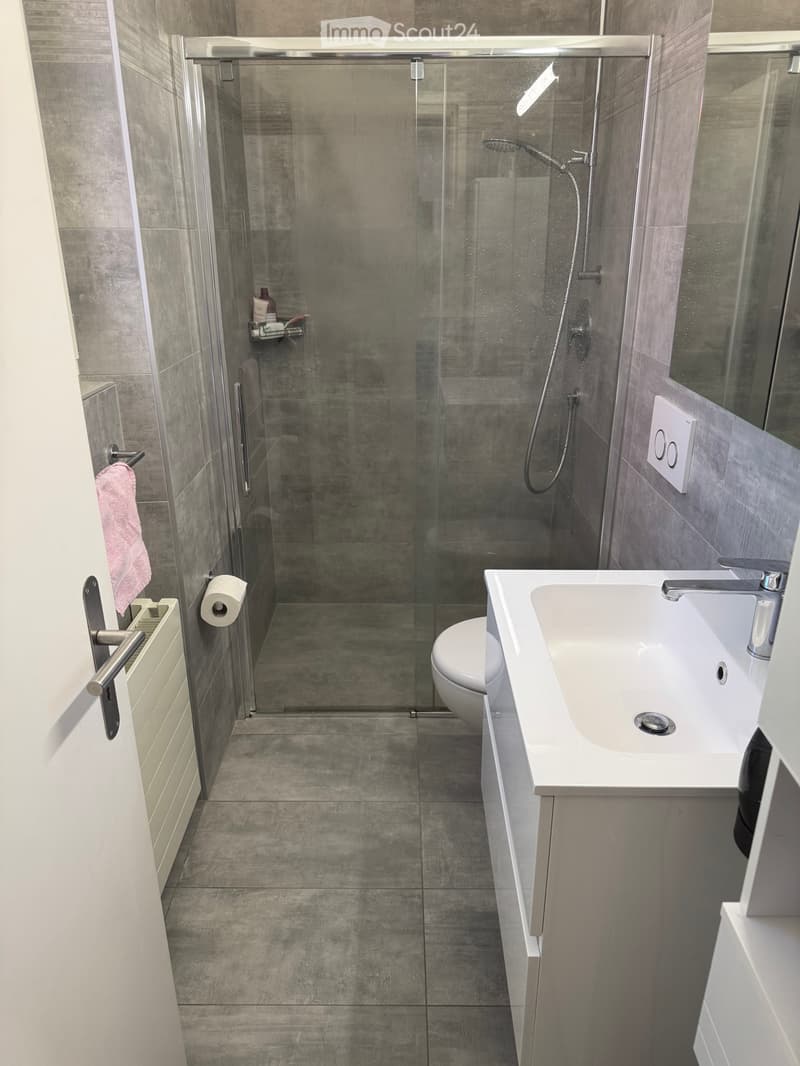 Location Maison 4.5 Pièces à Losone (4)