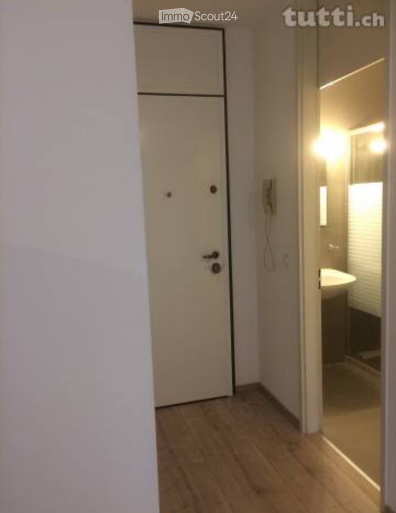 Beautiful studio apartment in Massagno (3)
