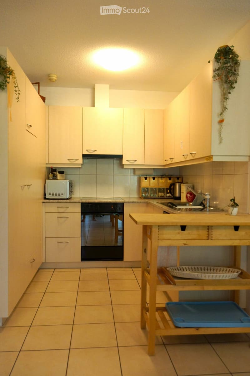 Bright 3.5 room ground floor apartment (5)