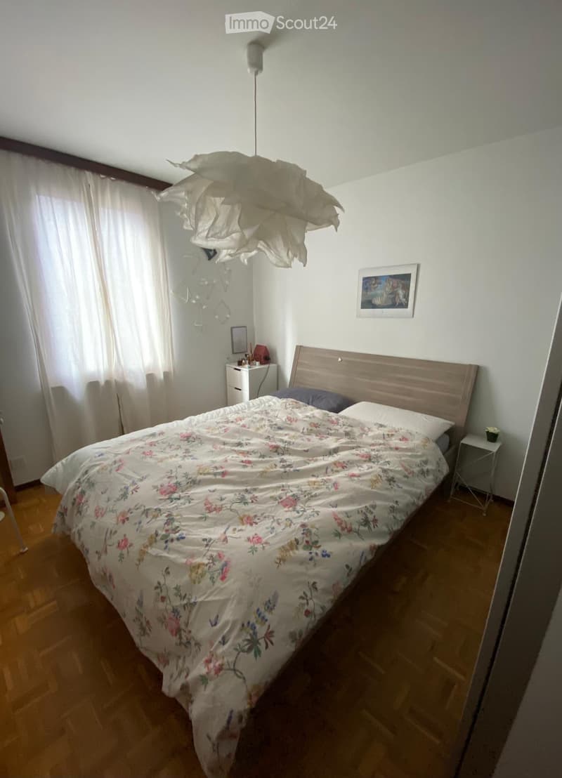 Condivisione appartamento a Breganzona (3)