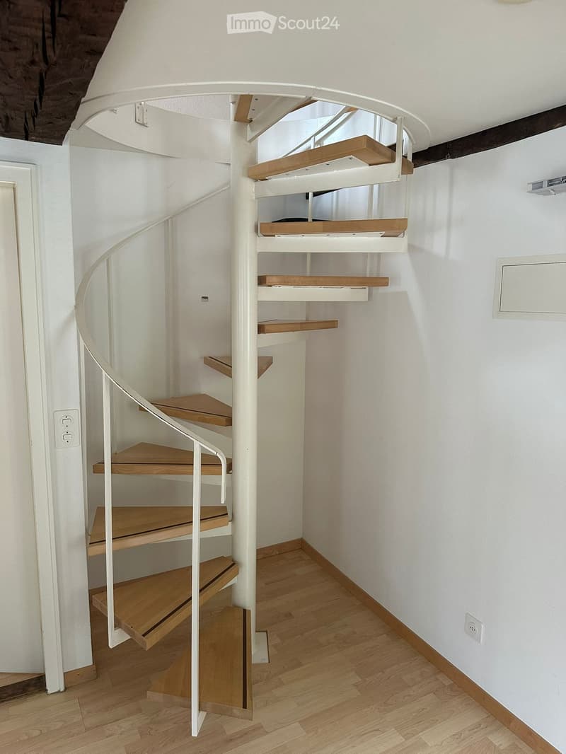 Ampio appartamento 2 1/2 locali in un edificio storico (5)