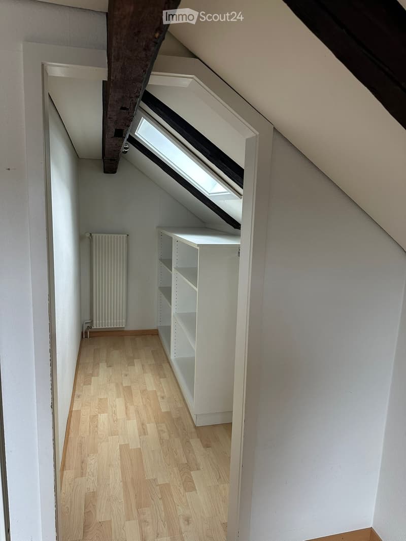 Ampio appartamento 2 1/2 locali in un edificio storico (4)