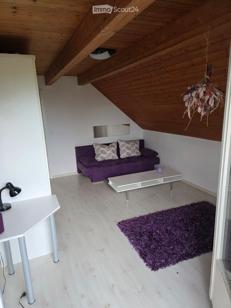 Furnished room with balcony and beautiful view (2)