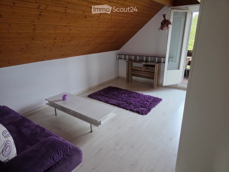 Furnished room with balcony and beautiful view (5)