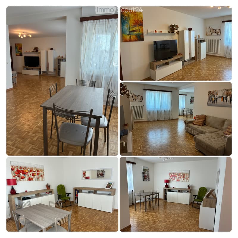 Cadempino (Lugano) cercasi subentrante 3.5 locali (4)