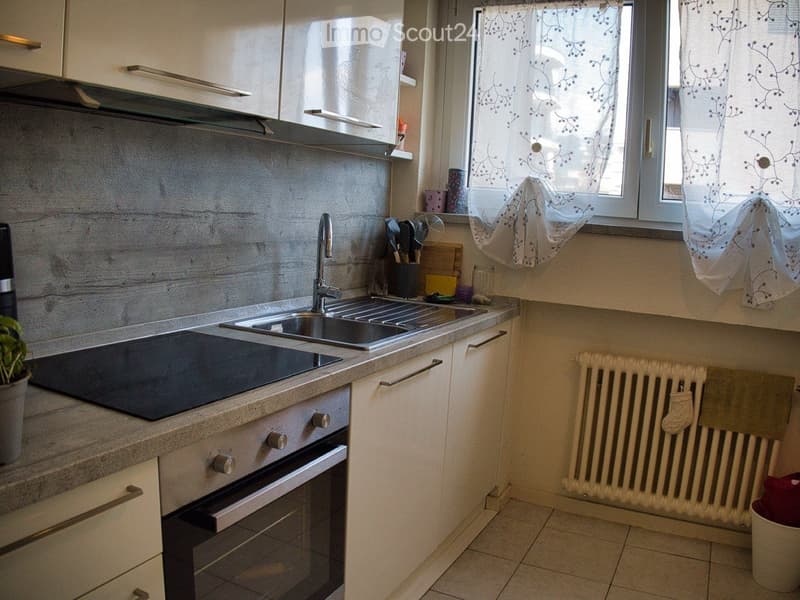 Location à Lugano (Cassarate) (4)