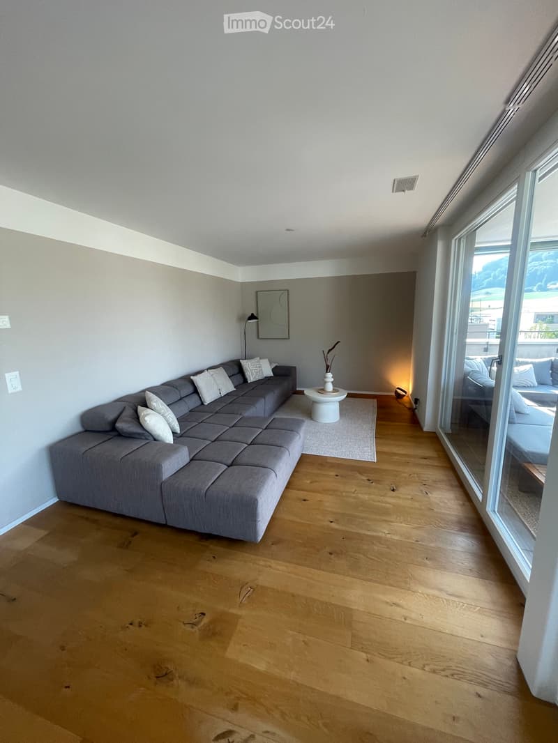Appartement attique exclusif de 5,5 pièces avec grande terrasse (3)