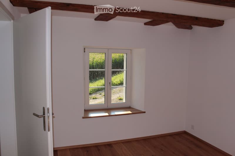 Quiet e yet molto centrale: appartamento 3,5 locali in cascina (3)