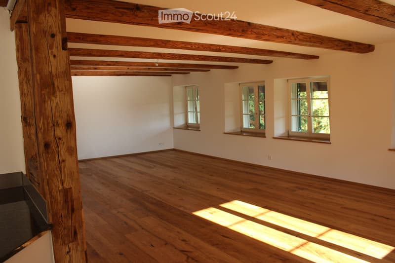 Quiet e yet molto centrale: appartamento 3,5 locali in cascina (2)