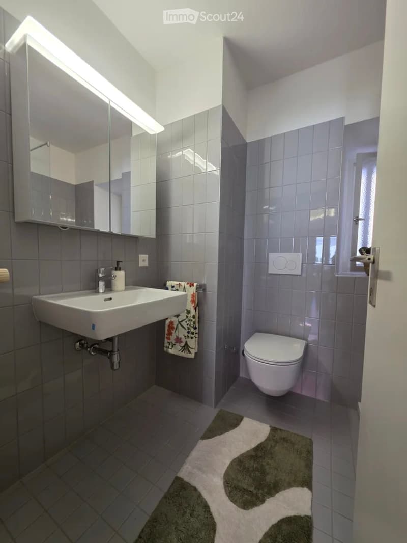 Vermiete Ferienwohnung  a Locarno (5)