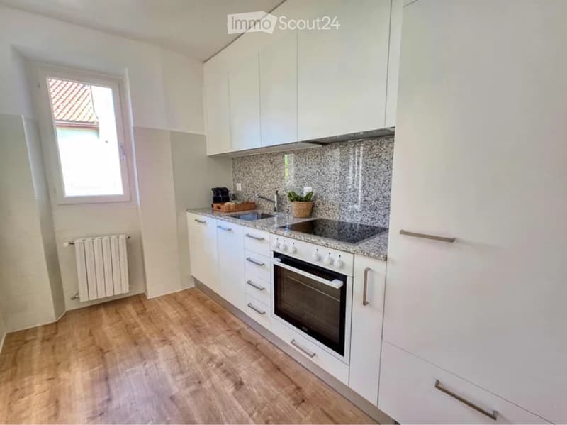 Vermiete Ferienwohnung  a Locarno (4)