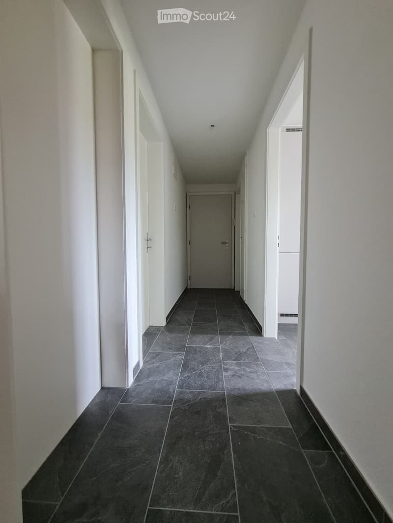 Appartamento di 3,5 locali ristrutturato ad Aadorf in una zona tranquilla (5)