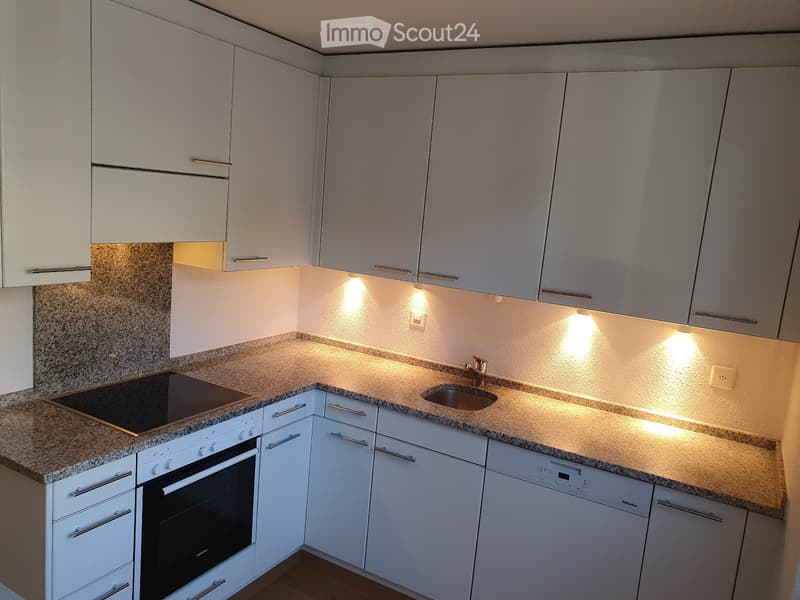 Appartement calme et ensoleillé dans le quartier vert d'Elfenau (4)