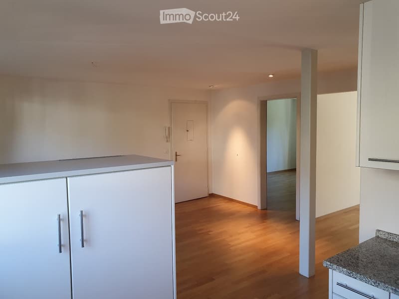 Appartement calme et ensoleillé dans le quartier vert d'Elfenau (3)