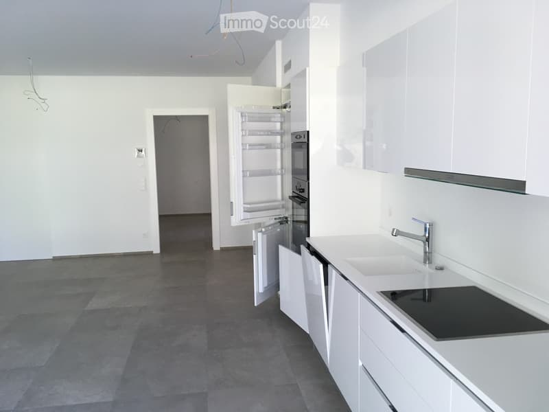 Vendo appartamento 3,5 a Bellinzona (2)