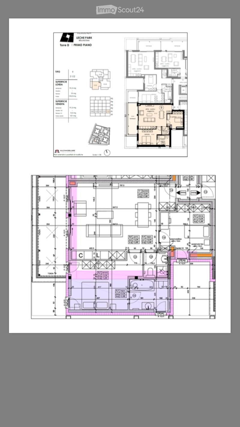 Vendo appartamento 3,5 a Bellinzona (4)