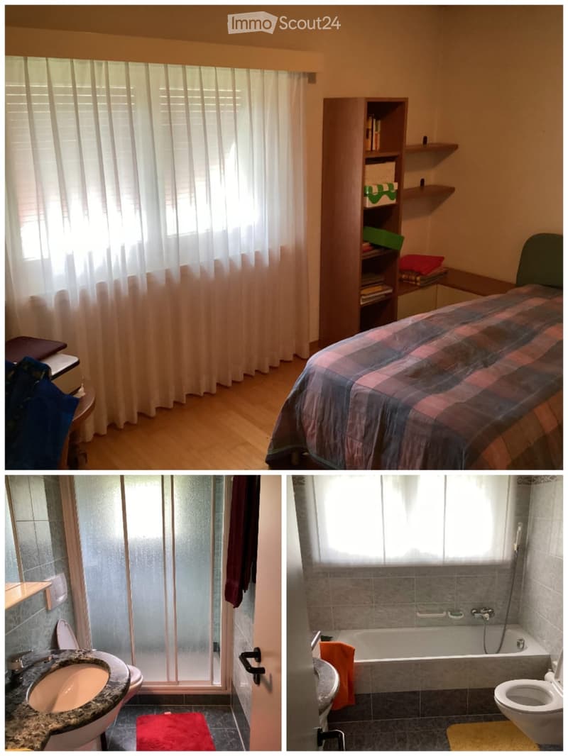 Appartamento in casa bifamiliare a Biasca con vista (5)