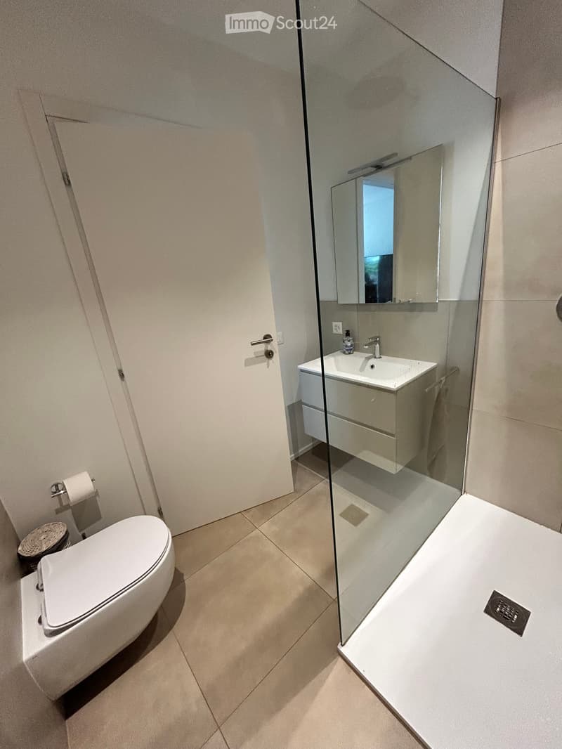 Appartement 3.5 A Bedano (5)