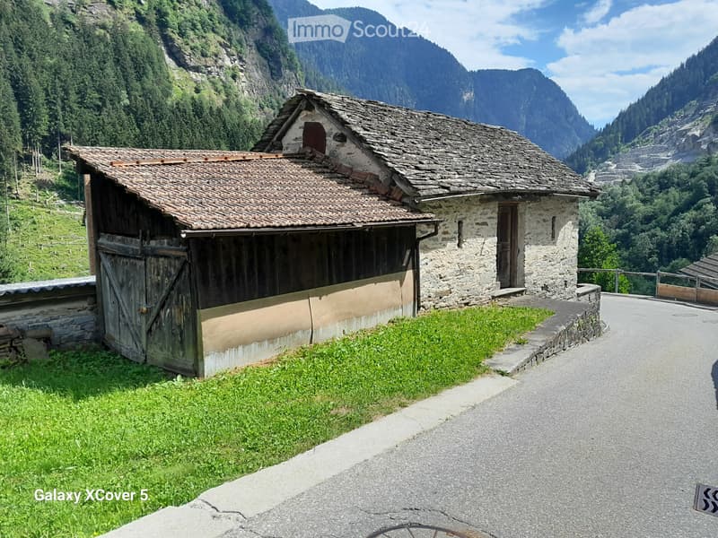 Vendo stalla in valle Calanca (4)