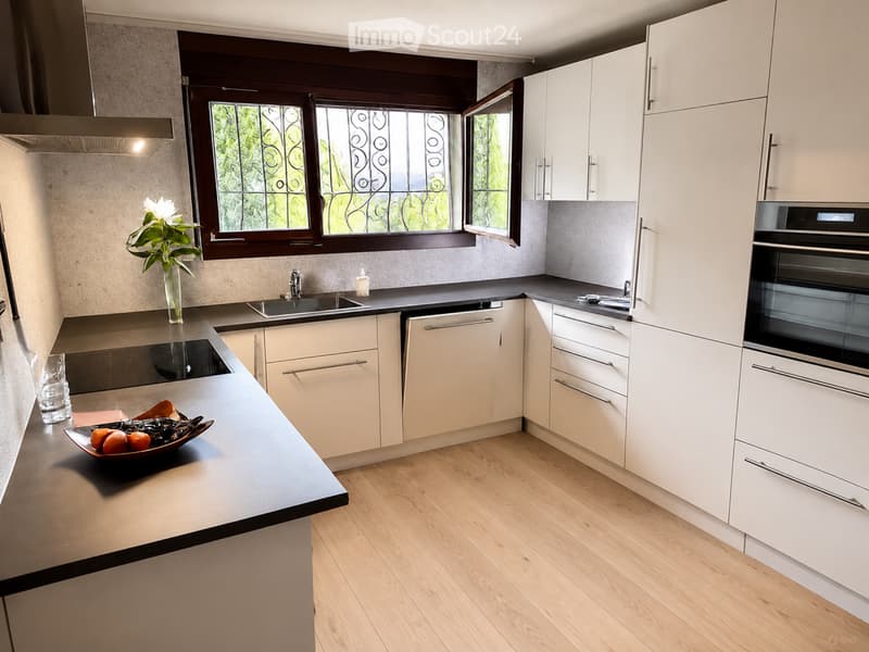 Casa familiare con vista libera, 10 minuti da Basilea (4)