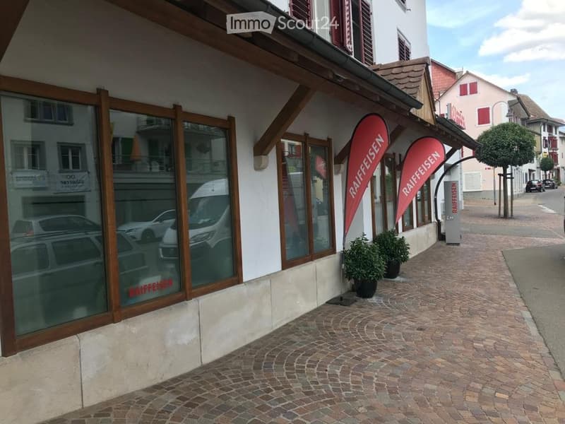 Proprietà ristrutturata a Hallau (2)