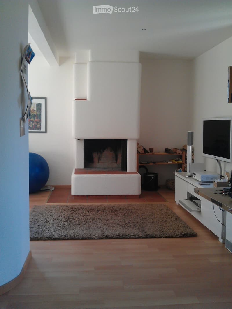 Bright, spacious 3.5-room apartment in Wollishofen (3)