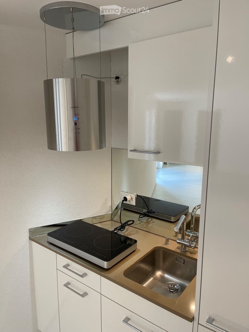 Moderne 1.5 Zimmer Studio Wohnung mit Vorplatz (5)