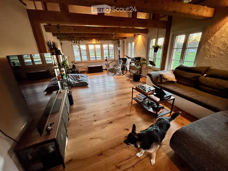 Camera in una casa a misura di animali con grande giardino (4)