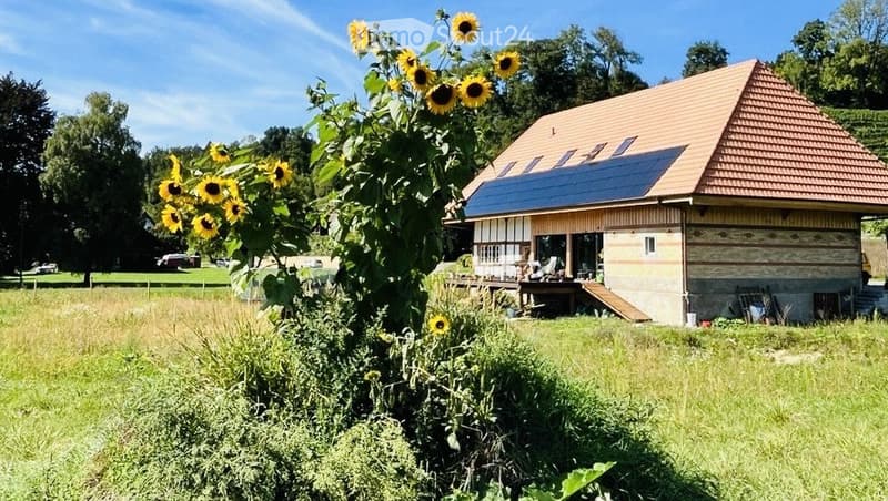 Camera in una casa a misura di animali con grande giardino (3)