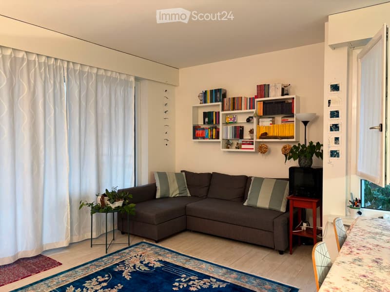 Apartment 3.5 in Molino Nuovo (2)