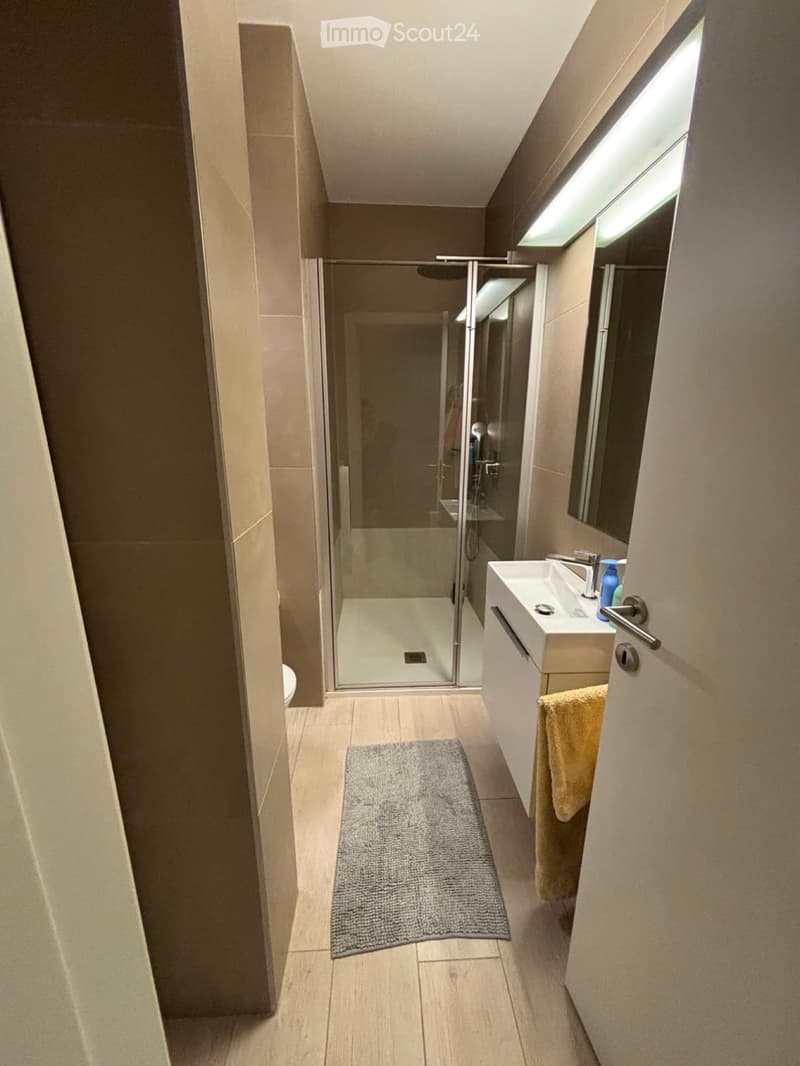 Apartment 3.5 in Molino Nuovo (5)