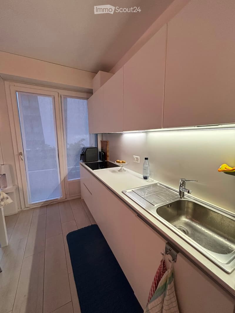 Apartment 3.5 in Molino Nuovo (3)