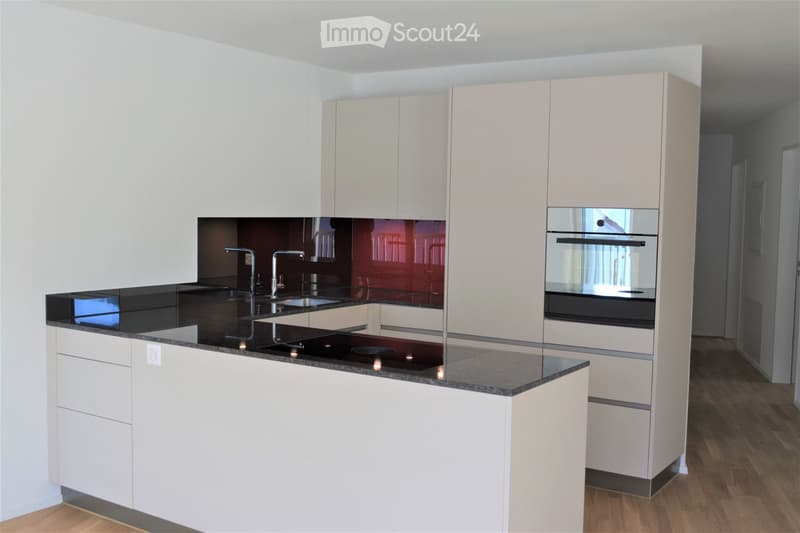 Moderne 4.5-Zimmer-Wohnung im 1. Dachgeschoss (5)