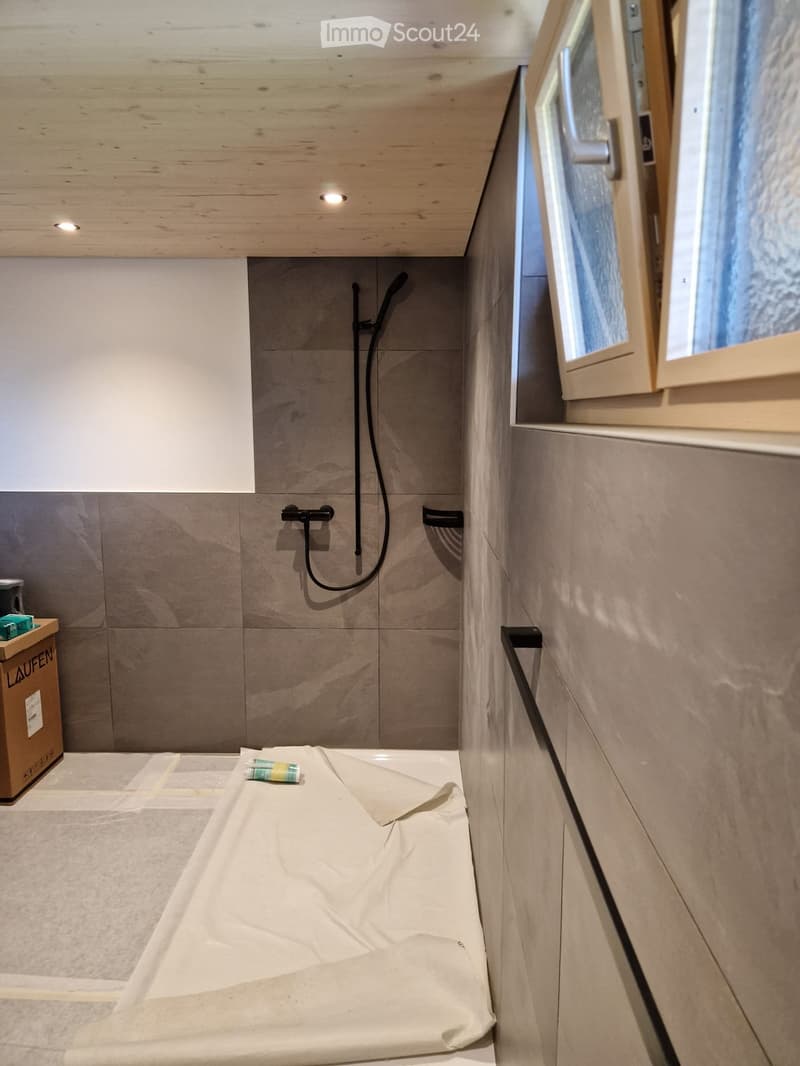 Appartamento di 3,5 locali in una casa colonica ristrutturata (3)