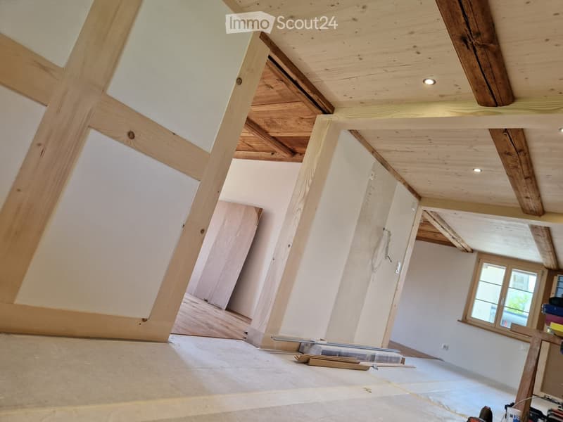 Appartamento di 3,5 locali in una casa colonica ristrutturata (4)
