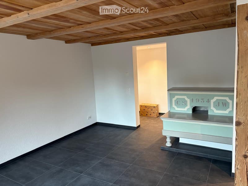 Appartamento di 3 locali, ristrutturato a nuovo - rurale e moderno (4)