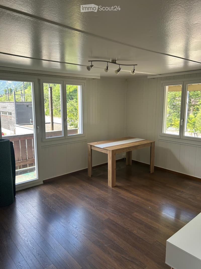 3.5 room apartment with balcony (4)
