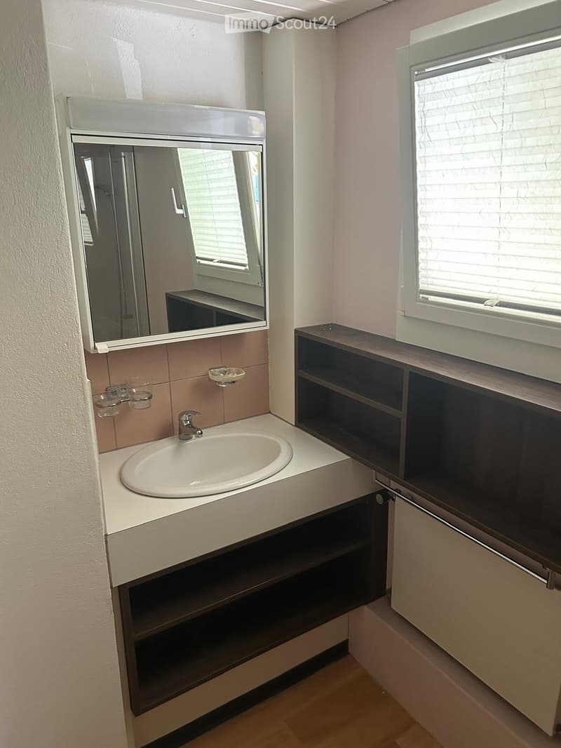 3.5 room apartment with balcony (5)