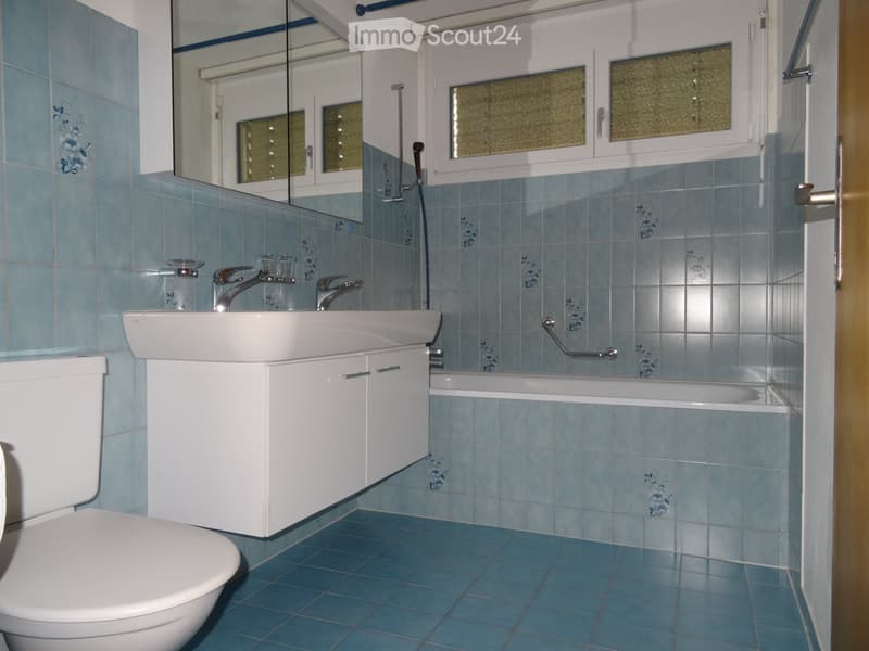 Schöne, helle, grosse 3 Zi-Parterre-Wohnung in 3-Fam.haus (4)
