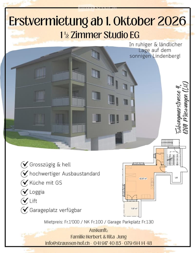 NEU - grosszügiges 1 1/2 - Zimmer-Studio in Müswangen (1)