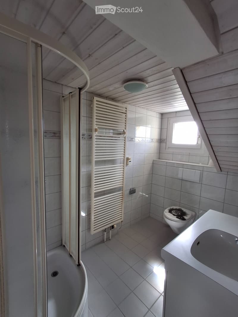 3 Zimmer Dachwohnung (4)