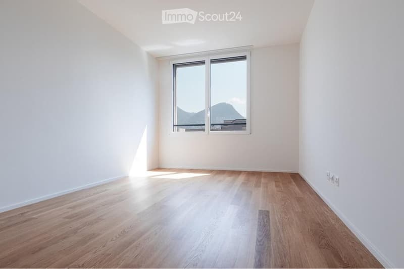 Appartement 2.5 Massagno (3)