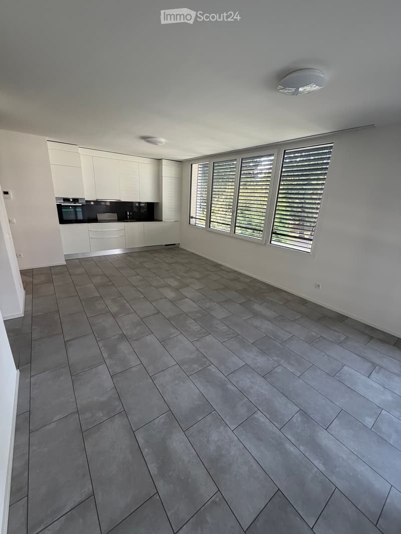 Appartement 2.5 Massagno (4)
