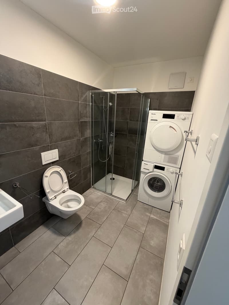 Appartement 2.5 Massagno (2)