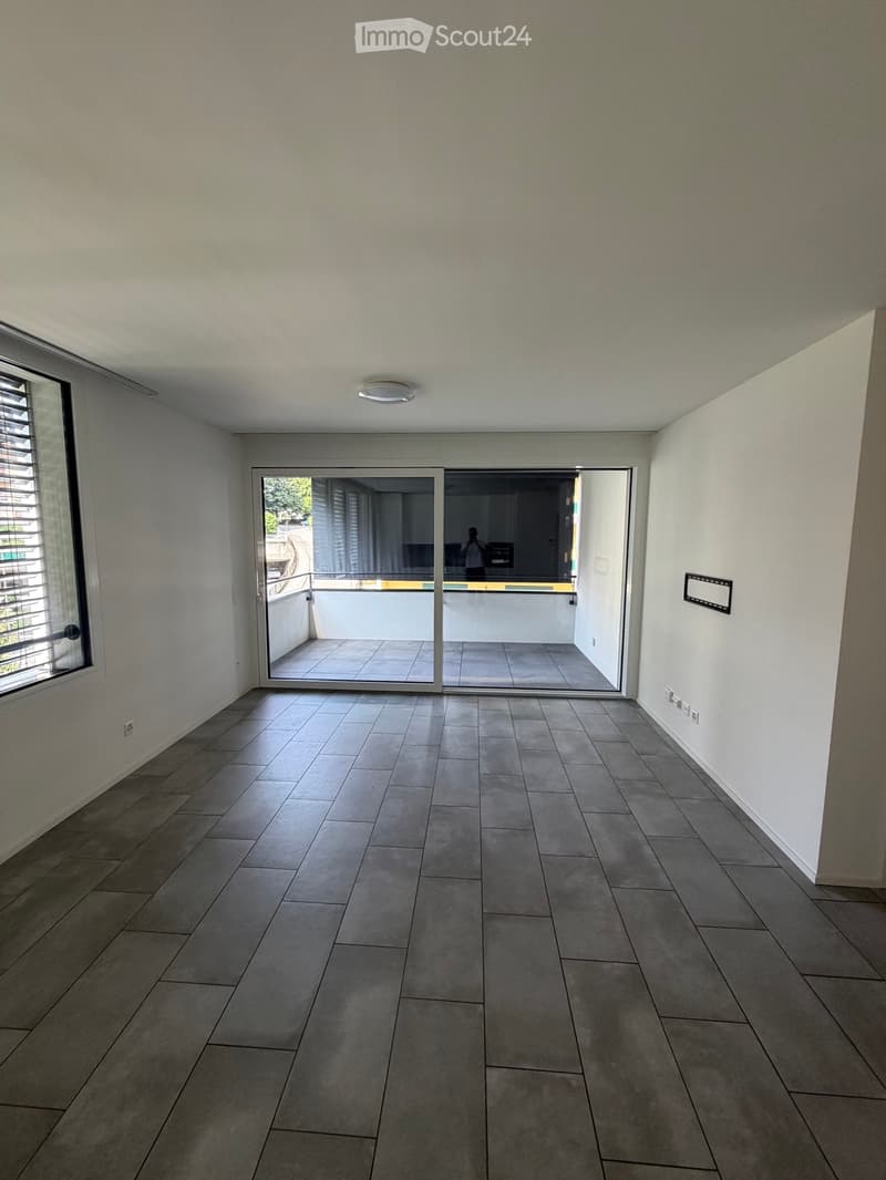 Appartement 2.5 Massagno (5)