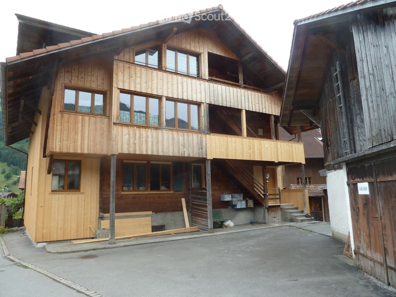 Appartement 4 1/2 pièces à louer pour la première fois (3)